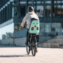 Thule Yepp Nexxt 2 maxi