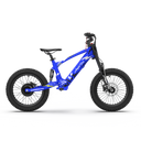 EVO Racing 18" Electric Bike