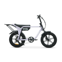 Fat Bandit Electric Bike