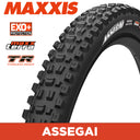 MAXXIS Mountain - ASSEGAI - 29X2.60 - MAXXTERRA / EXO+ / TR - Foldable 60 TPI E25