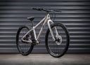Early Rider Belter 24" Kids Bike (MY27) - Brushed Aluminium