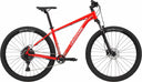 29 M Trail 5 RRD XL
