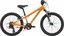 Kids Trail 20 CRU OS