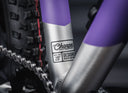 Early Rider Charger 20" Kids Mountain Bike (MY27) - Electric Purple/Brushed