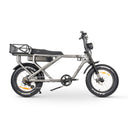 ACE-X Cargo MAX Electric Bike