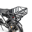 ACE-X Cargo MAX Electric Bike