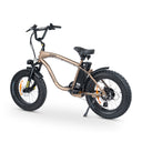 Stubbie PRO Electric Bike
