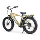 CHUBBIE 3 Electric Bike