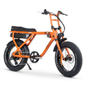 ACE-X Street Electric Bike