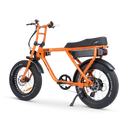 ACE-X Street Electric Bike