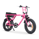 ACE-X Street Electric Bike