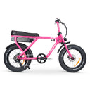 ACE-X Street Electric Bike