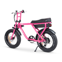 ACE-X Street Electric Bike