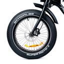 ACE-X Street Electric Bike
