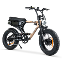 ACE-X Demon Dual Electric Bike