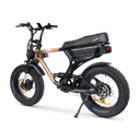 ACE-X Demon Dual Electric Bike