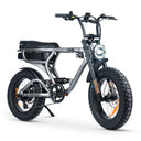 ACE-X PRO Electric Bike S5