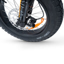 ACE-S Pro + Free Essentials Pack