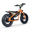 Lil Rippa 16" Kids Electric Bike