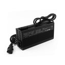 ACE 52V Series 4 Charger