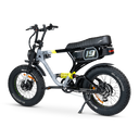 ACE-X Demon S5 Dual Electric Bike