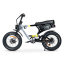 ACE-X Demon S5 Dual Electric Bike