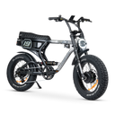 ACE-X Demon S5 Dual Electric Bike