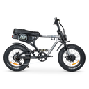 ACE-X Demon S5 Dual Electric Bike