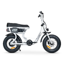 ACE-S Mini Electric Bike