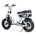 ACE-S Mini Electric Bike