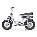 ACE-S Mini Electric Bike