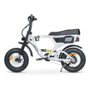 ACE-X Mini PRO Electric Bike