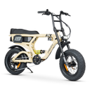 ACE-X Mini PRO Electric Bike