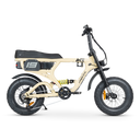 ACE-X Mini PRO Electric Bike