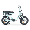 ACE-S Mini Electric Bike