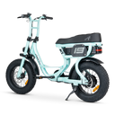 ACE-S Mini Electric Bike