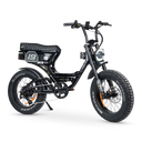 ACE-S PRO Electric Bike