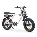 ACE Adventure Electric Bike