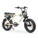 ACE Adventure Electric Bike