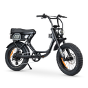 ACE Adventure Electric Bike