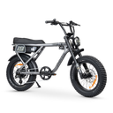 ACE Adventure Electric Bike