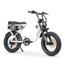 ACE Adventure Electric Bike