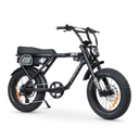 ACE Adventure Electric Bike