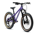 Early Rider Hellion 20"