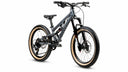 Early Rider Hellion X20