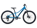 2026 Talon 24 Disc