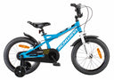 16 B Koen Blue