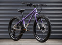 Early Rider Seeker 20" Kids Mountain Bike (MY27) - Electric Purple/Brushed