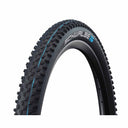 Racing Ray 29x2.25 TLE Black