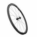 202 NSW Carbon TL 700c Front 20Spoke 12x100 DarkGrey A1
